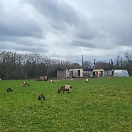 Maison De Charme * Yvetot-Bocage